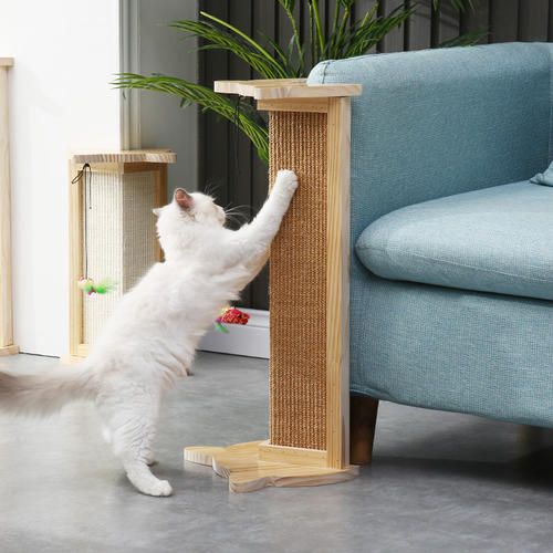 1606791162102889.jpg 貓.jpg