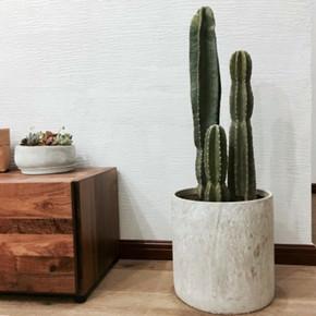 1608867431125877.jpg 量天尺1.jpg