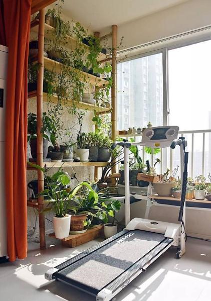 1609911734702724.jpg 陽臺健身房2.jpg