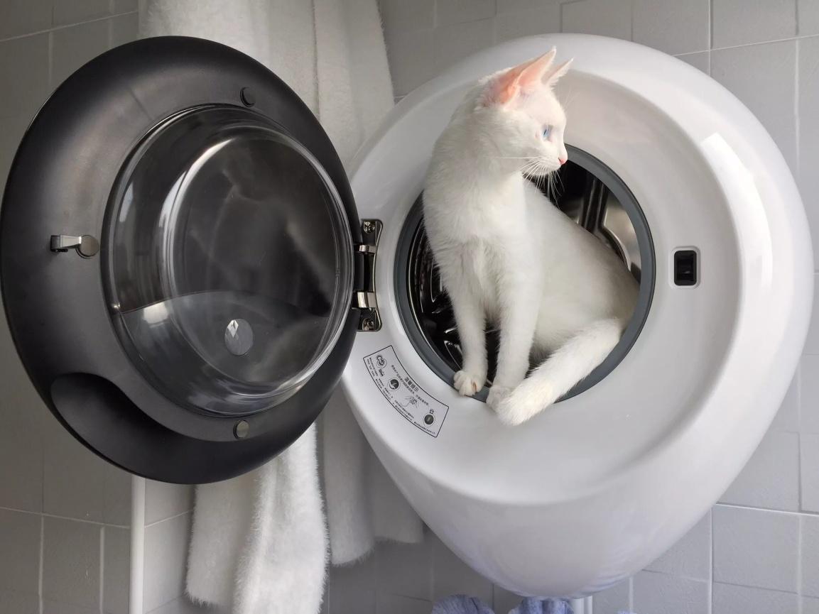 壁掛式洗衣機(jī)怎么樣 本文為你輕松掃雷區(qū)